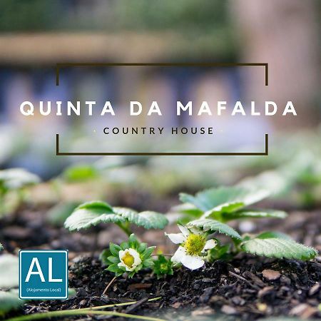 Quinta Da Mafalda Mira  Exteriör bild