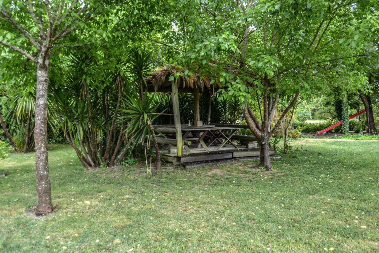 Quinta Da Mafalda Mira  Exteriör bild
