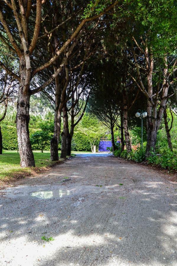 Quinta Da Mafalda Mira  Exteriör bild