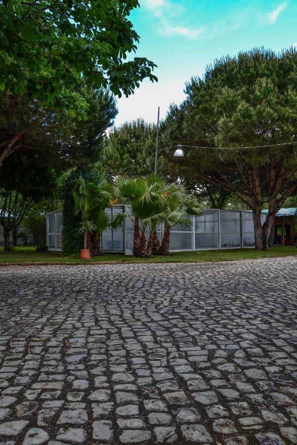 Quinta Da Mafalda Mira  Exteriör bild