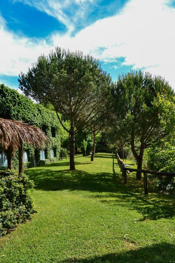 Quinta Da Mafalda Mira  Exteriör bild