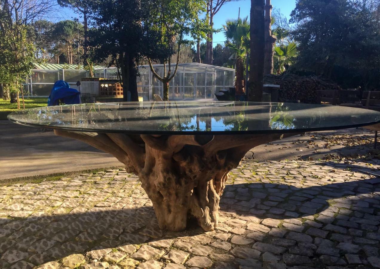 Quinta Da Mafalda Mira  Exteriör bild