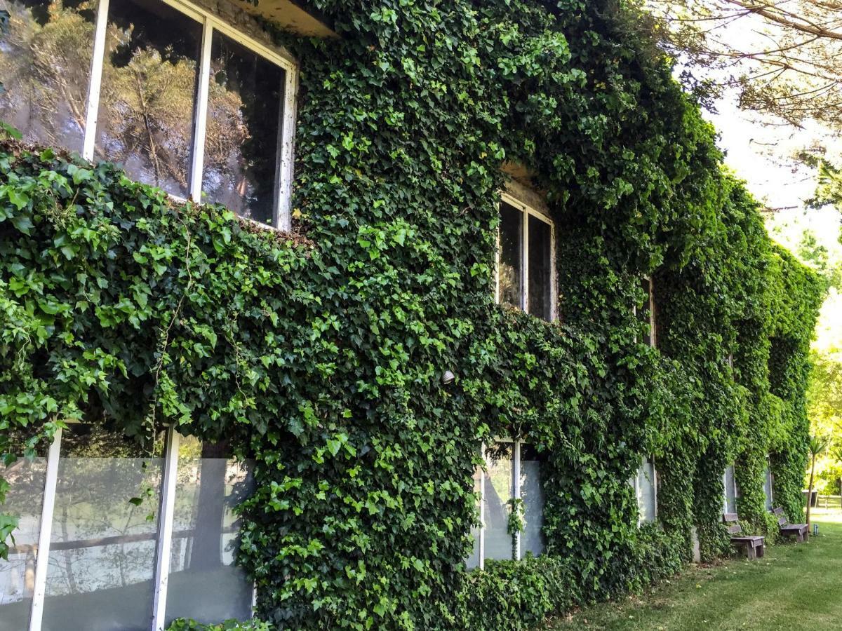 Quinta Da Mafalda Mira  Exteriör bild