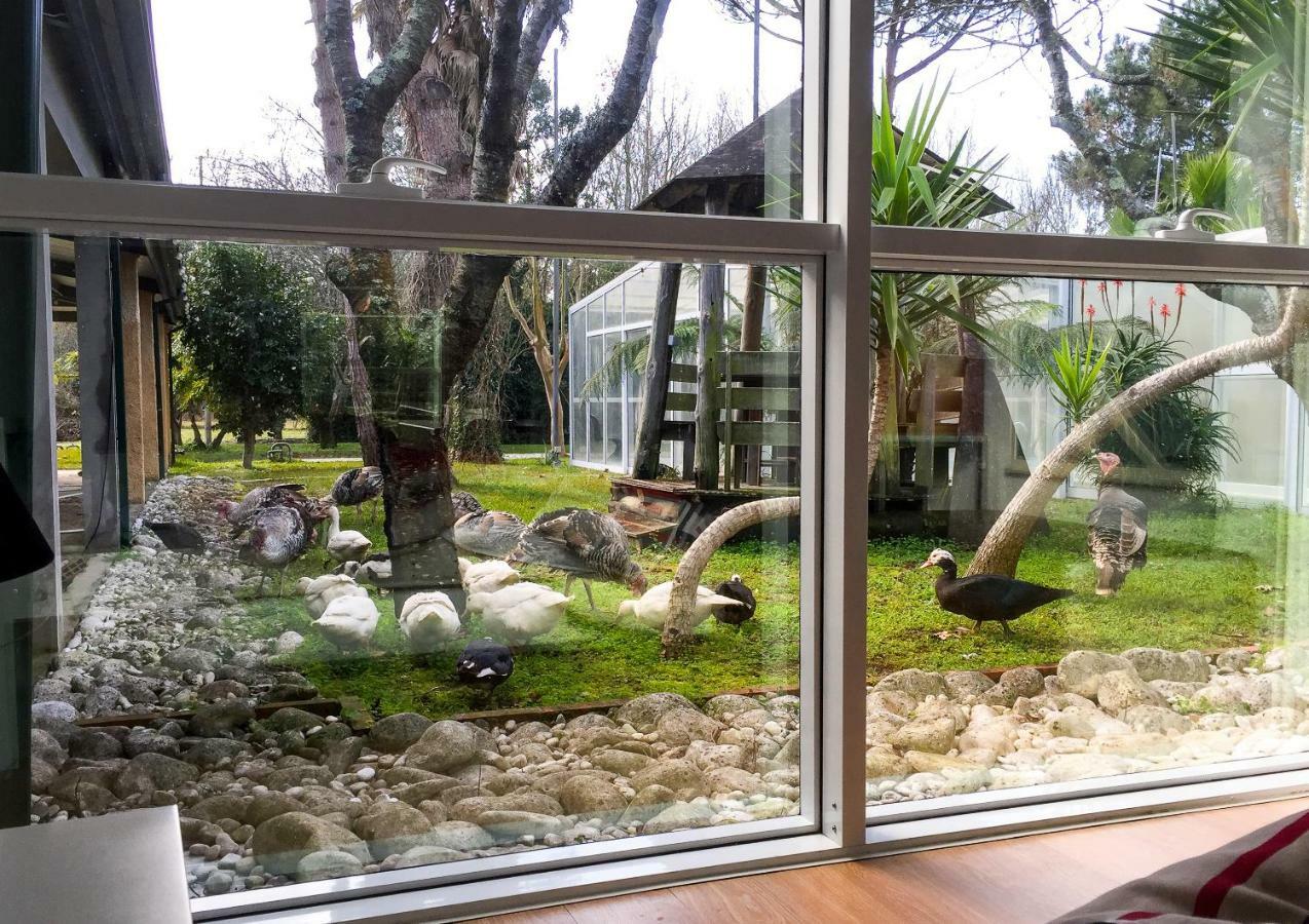 Quinta Da Mafalda Mira  Exteriör bild