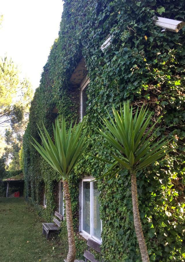 Quinta Da Mafalda Mira  Exteriör bild